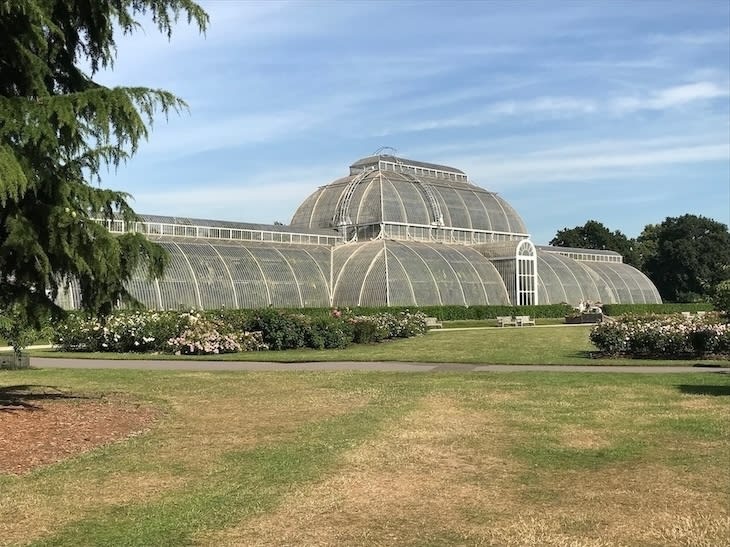 The Palm House at Kew Gardens