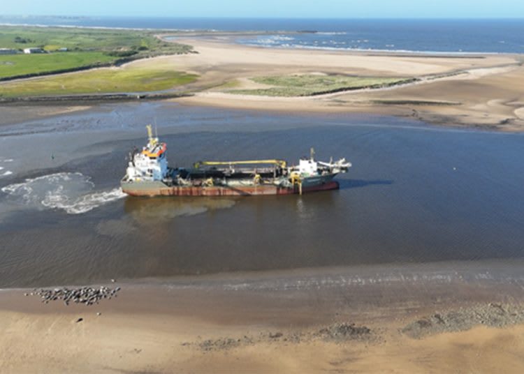 June 2024 Causeway dredging Seaton Channel by seals hauled out on Seal Sands (Grecko Indie Media)