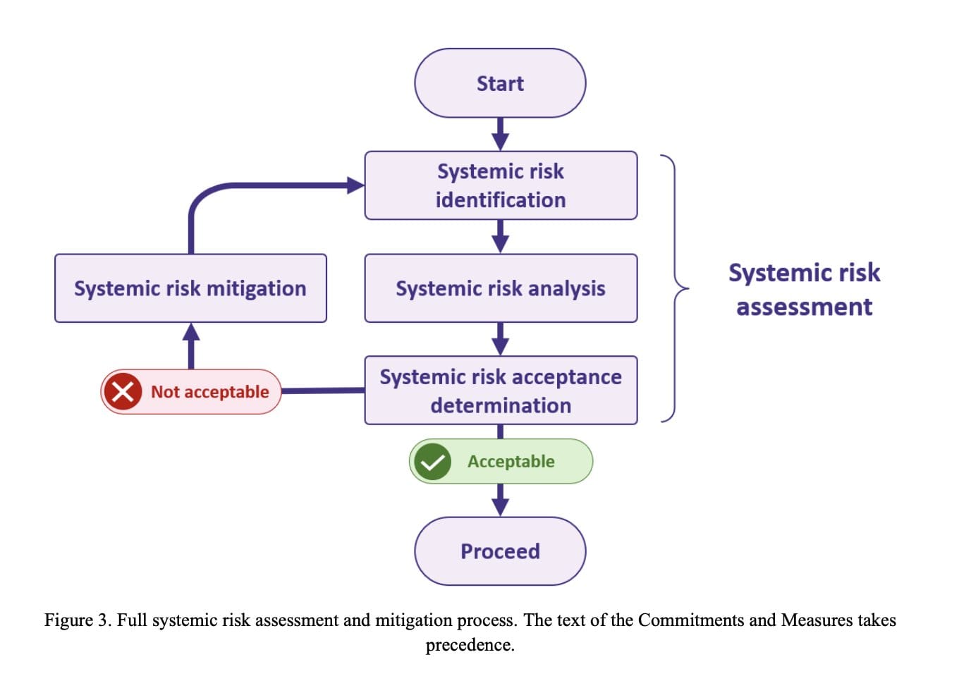 Flowchart showing systemic risk assessment and mitigation process with decision points.