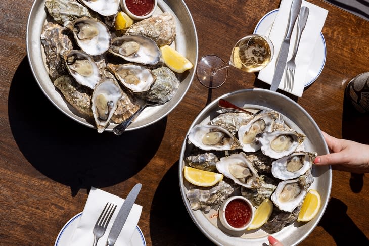 Loads of oysters