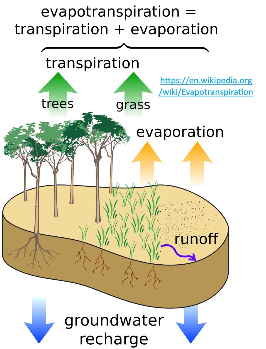 EarthStuff - The Radiative Effects Of Water Vapour From Terrestrial Evapotranspiration