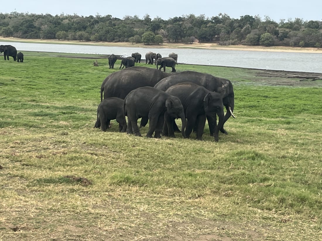 https%3A%2F%2Fsubstack-post-media.s3.ama