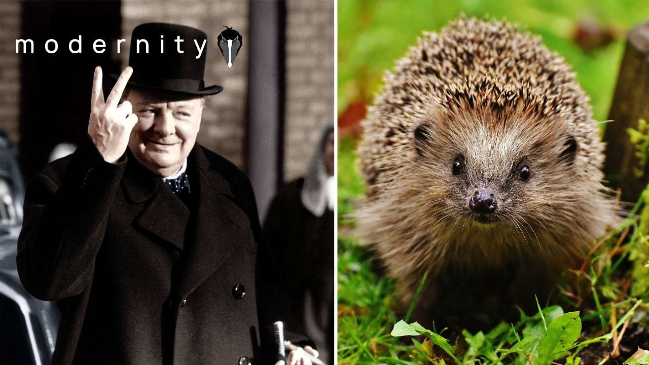 They’re Replacing Winston Churchill With a HEDGEHOG...