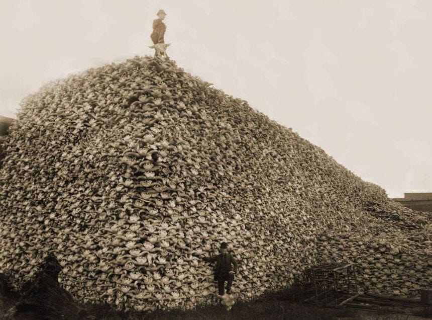 r/oddlyterrifying - Hunters standing on a pile of Bison skulls around the late 1800s
