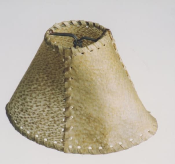 A close-up of a lamp shade

AI-generated content may be incorrect.