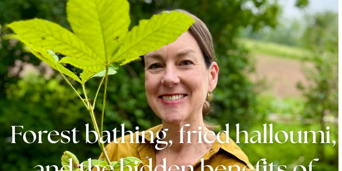 Discover the Powerful Forest Bathing Benefits - Rejuvenate Your Mind and Body Naturally