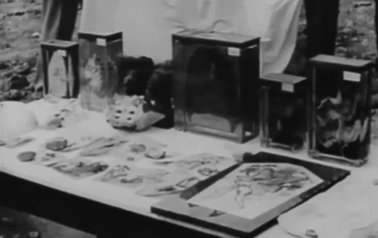 A table with pictures and objects on it

AI-generated content may be incorrect.