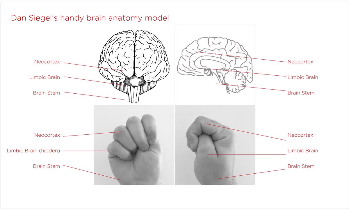 What is 'the hand model'? - by Kevin McNamara