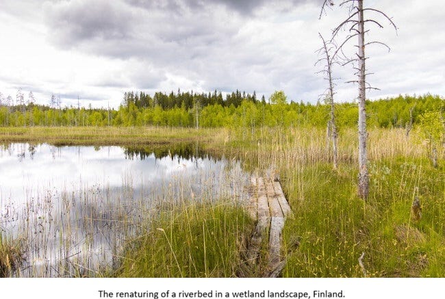 EarthStuff - Defensive Rewilding - A Nature-Based Solution For National Security 