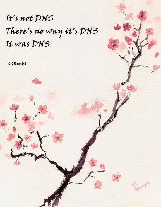 dns haiku
