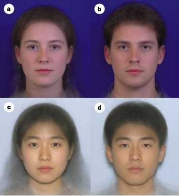 Four headshot portraits arranged in pairs showing feminine and masculine facial features
