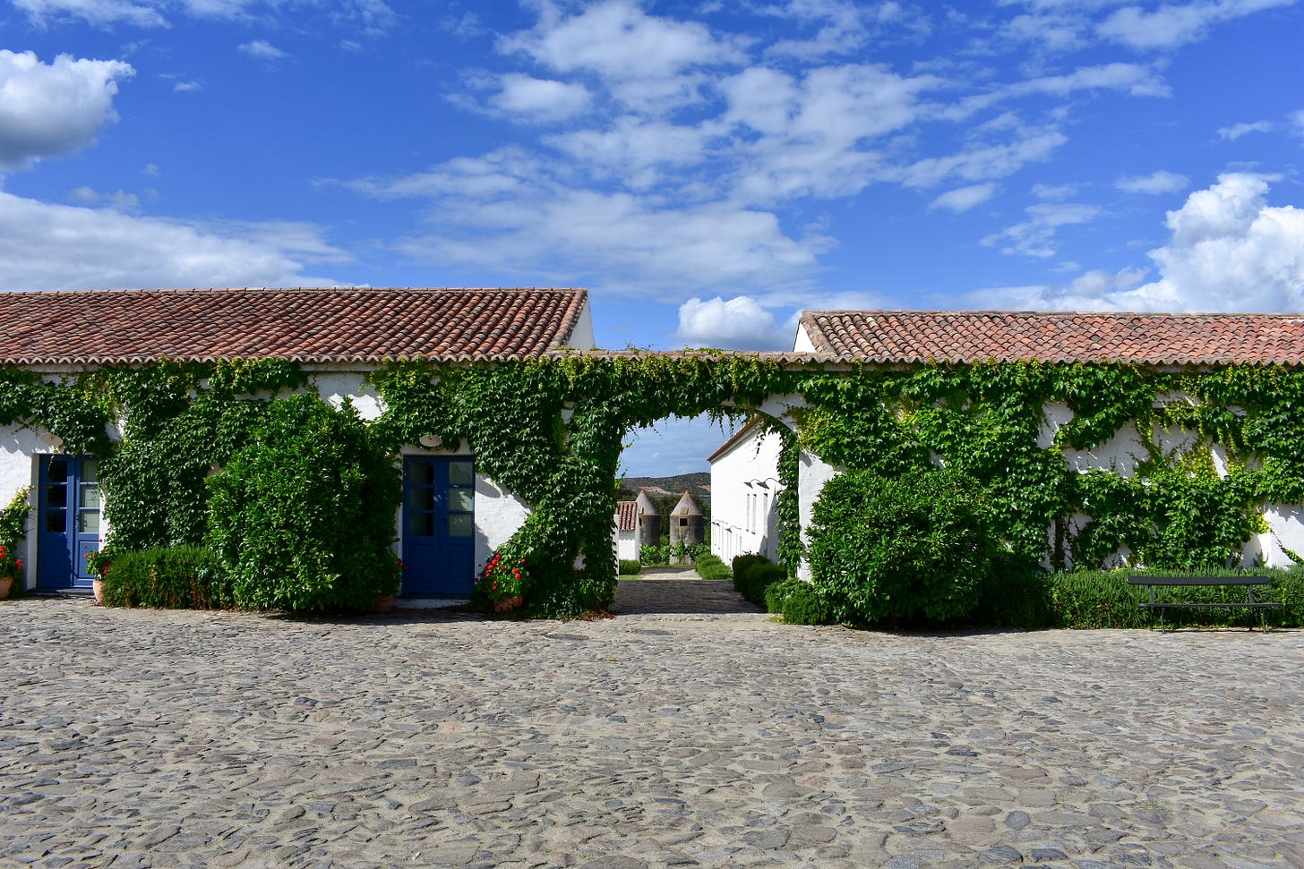 The cobblestone central courtyard at São Lourenço do Barrocal, with ivy climbing over a stone archway framing a path through the estate