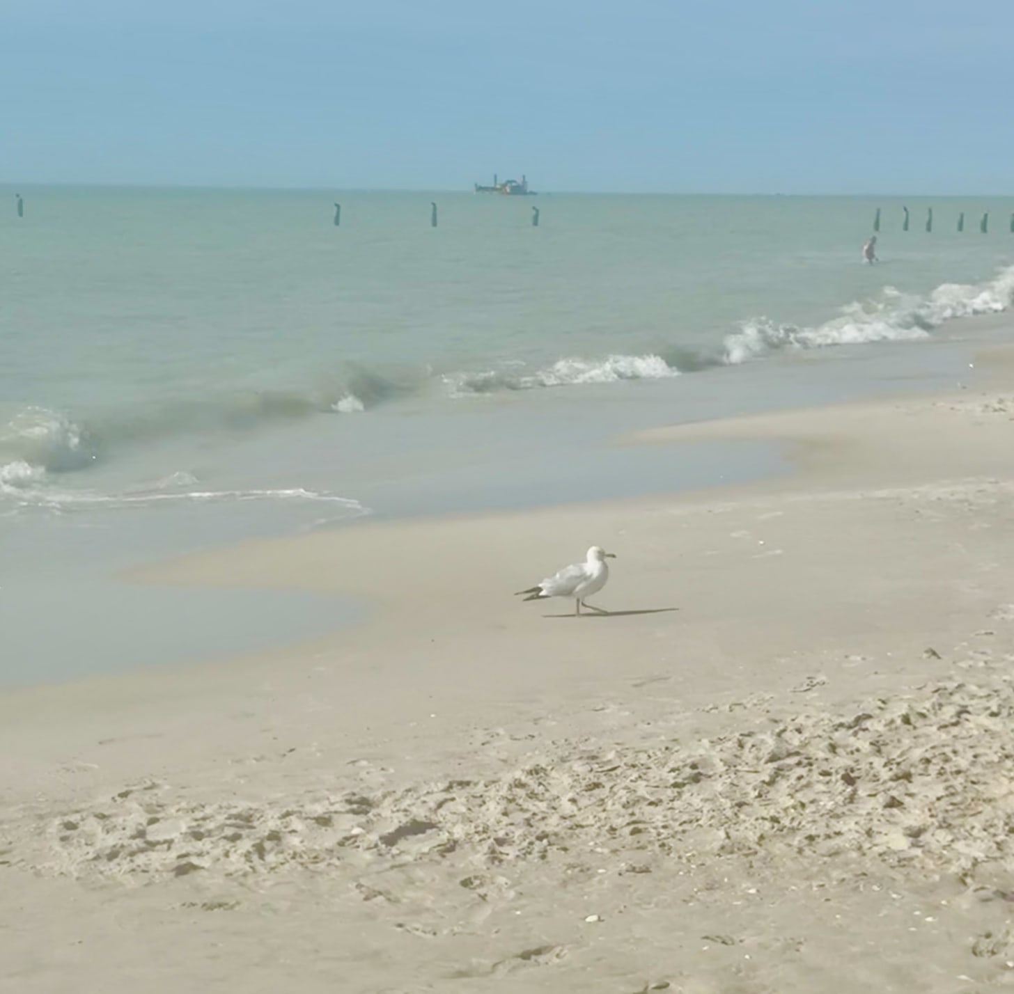 Legal Ethics Roundup: Ethics Of AI Glasses In Court, Gambling Lawyer Guilty, SCOTUS Restricts Access to Counsel, Judge’s Novel Recusal & More