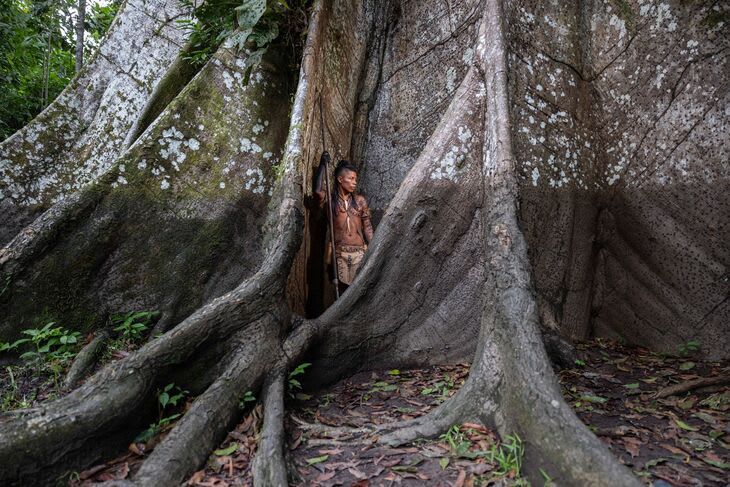 A person holding a spear stood at the foot of a big tree