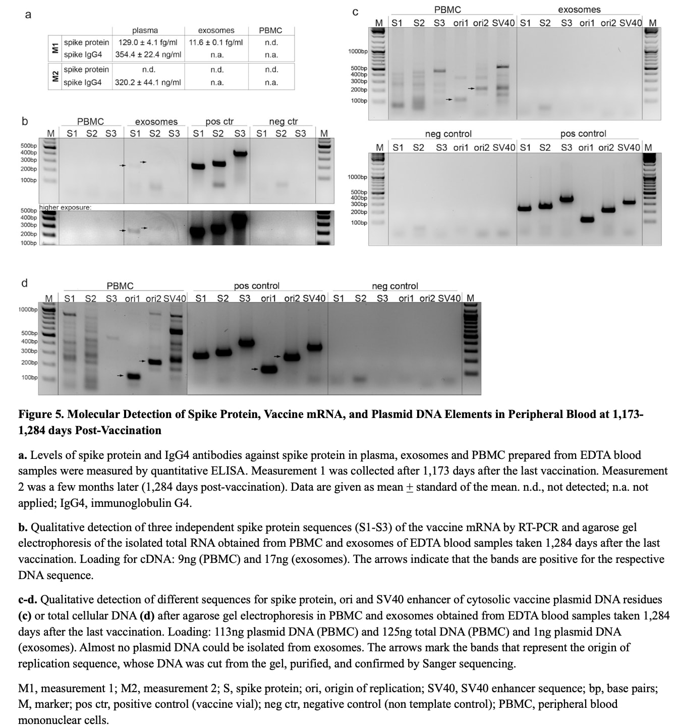 Impfstoff-mRNA, Plasmid-DNA und Spike-Protein können mehr als 3,5 Jahre nach der COVID-19-Impfung im Menschen verbleiben- 5