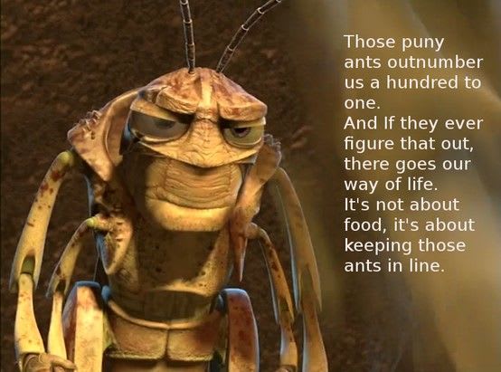 A Bug's Life - by Kyle Gehler - Comfort Cinema