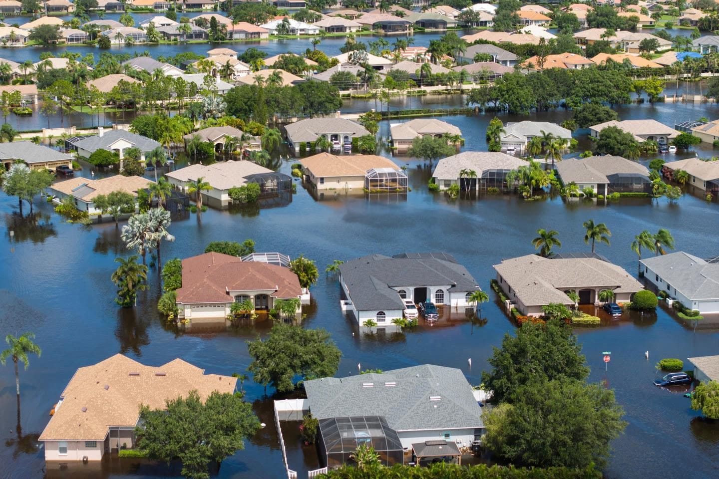 EarthStuff - Pluvial Flood Impacts And Policyholder Responses Throughout The United States