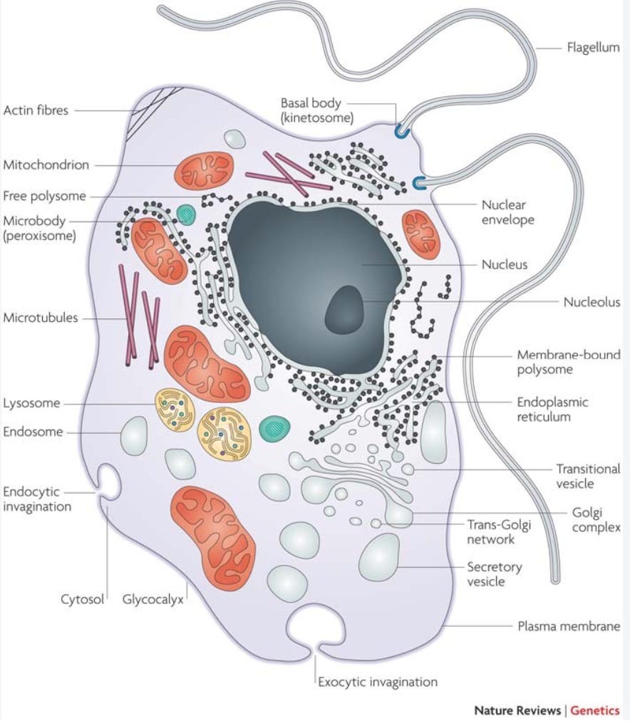 Open-Source Solutions for Geospatial Analysis - ... sine qua non of the eukaryotic condition