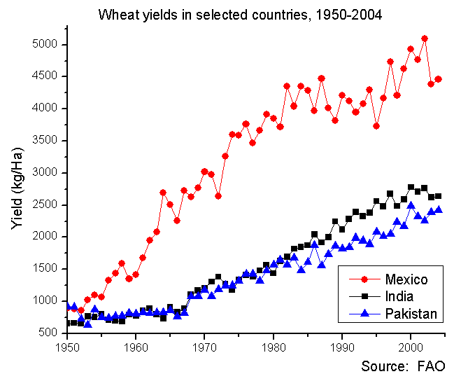 Wheat yields post-Borlaug
