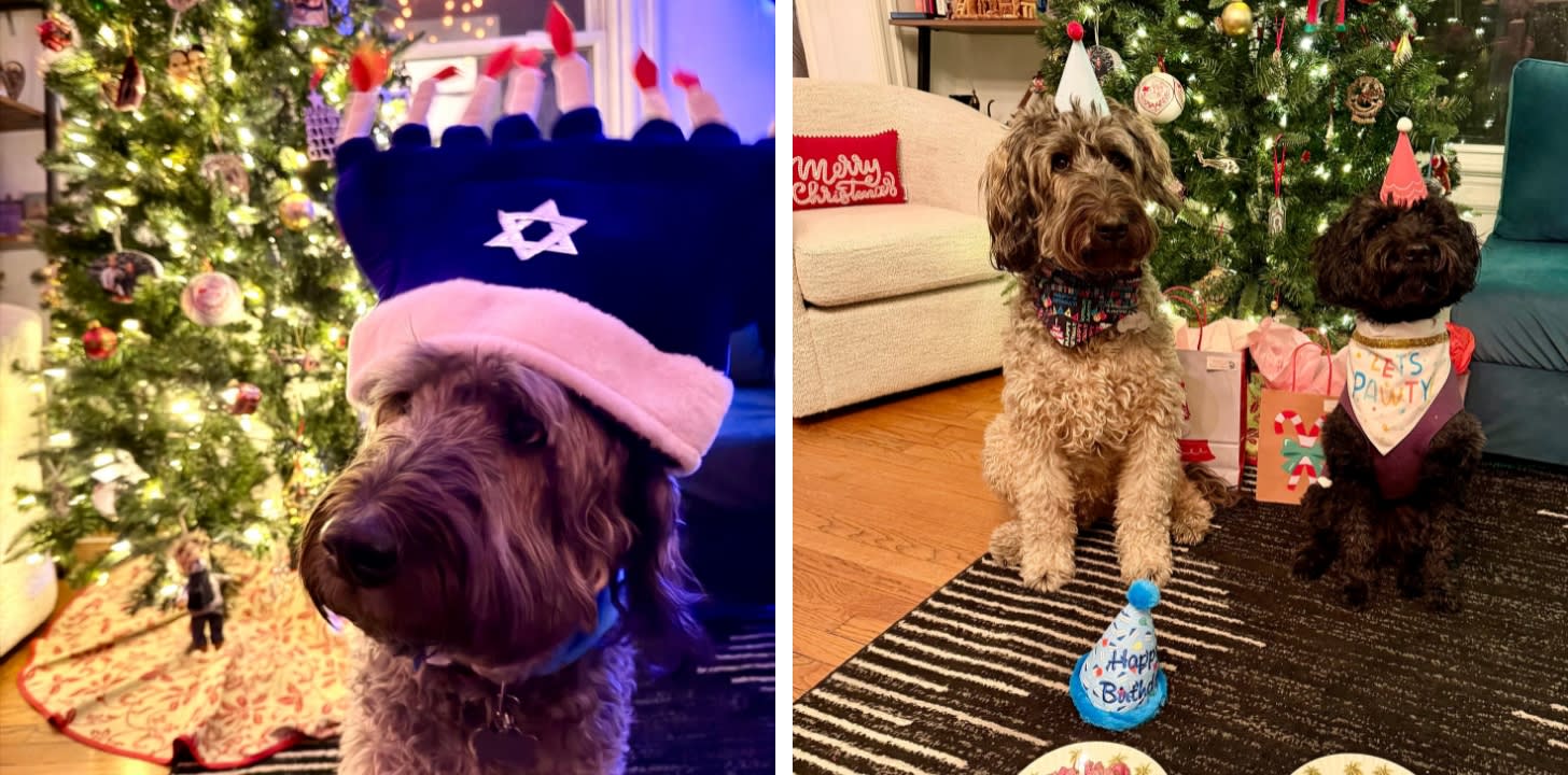 Ringo in a Menorah hat, Ringo and Stevie celebrating his birthday