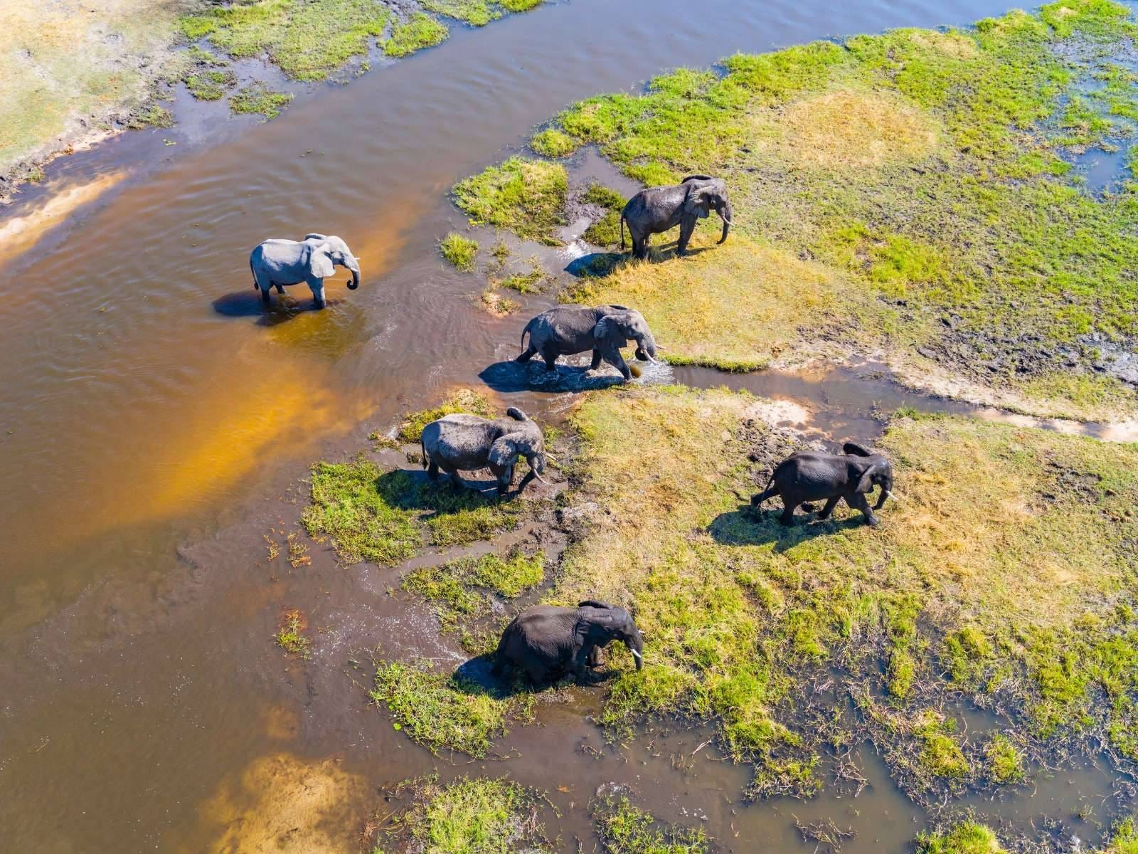 EarthStuff - The Okavango River Begins In Angola And Ends In Botswana