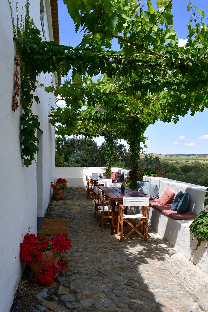 A shaded terrace at São Lourenço do Barrocal with a grapevine canopy overhead, long wooden dining tables, built-in cushioned seating, and panoramic views over the rolling countryside