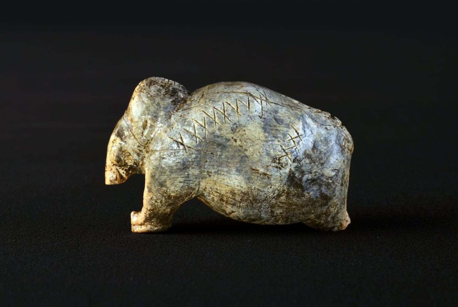 The mammoth figurine from Vogelherd Cave, approximately 40,000 years old, bears multiple sequences of crosses and dots on its surface.


