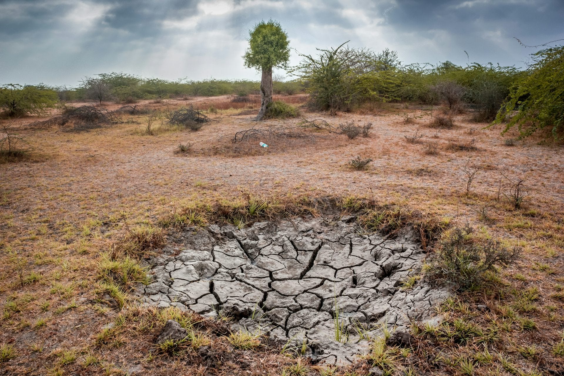 EarthStuff - Decoupling Of Surface Water Storage From Precipitation In Global Drylands Due To Anthropogenic Activity