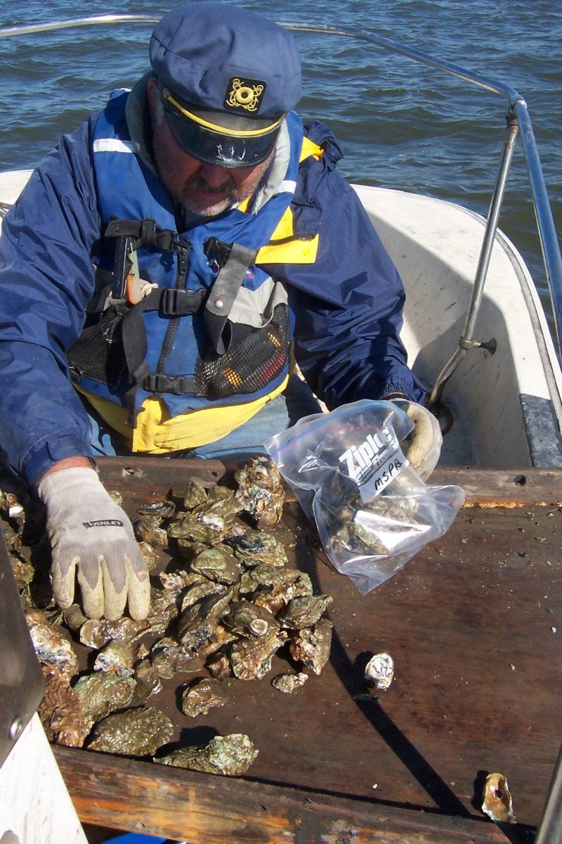 EarthStuff - NOAA’s National Mussel Watch Program [USA]