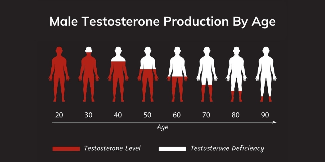 Where Has All the Testosterone Gone?