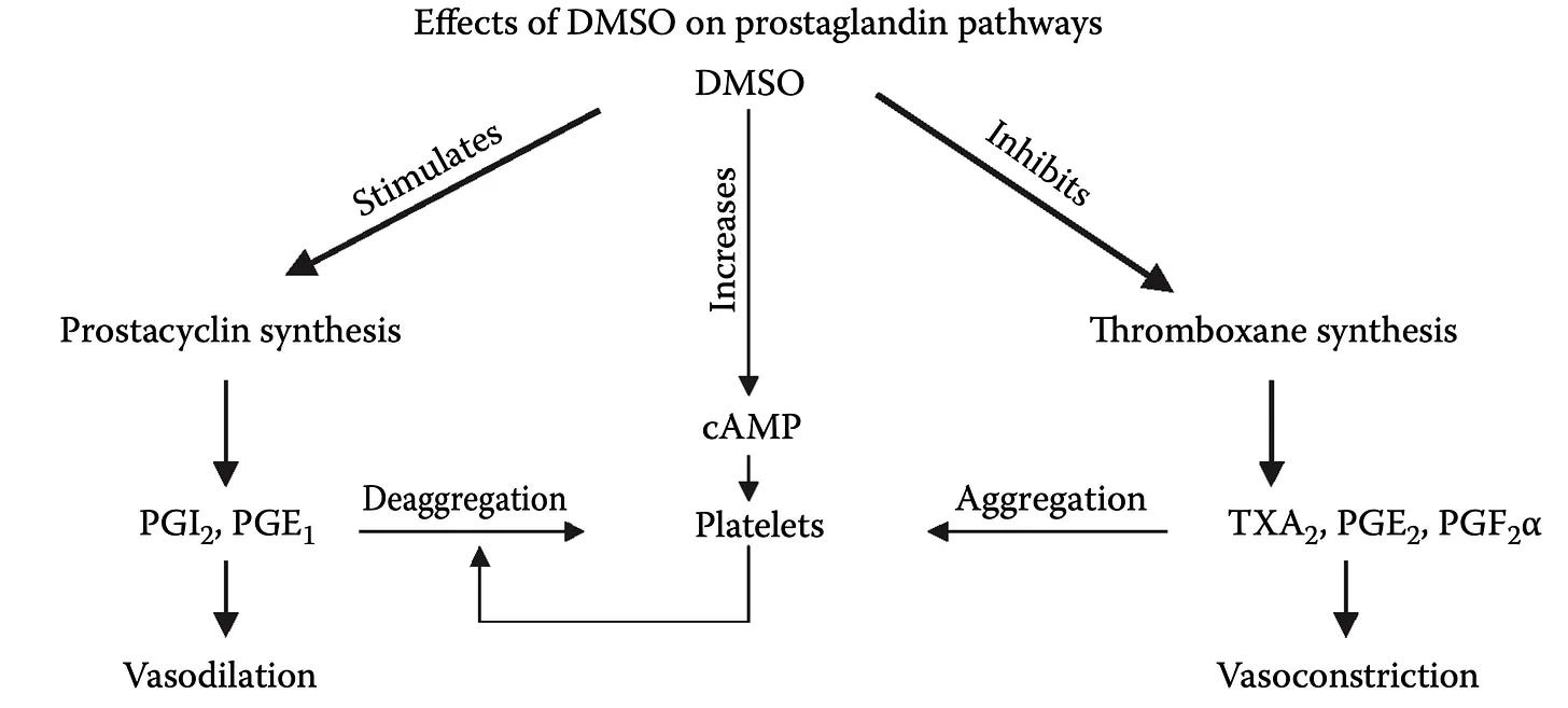 How DMSO Heals The Blood Vessels and Could Save Millions From Strokes
