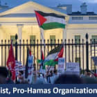 Ilhan Omar's daughter mocked as 'psycho' after college suspends her for anti-Israel demonstrations