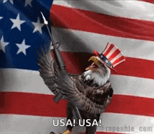 Usa Usa Usa Gif GIFs | Tenor
