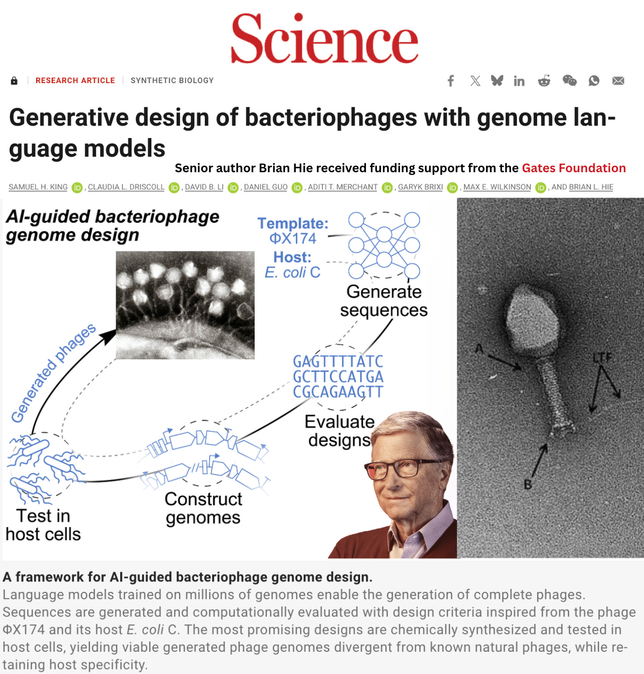 https%3A%2F%2Fsubstack post media.s3.amazonaws.com%2Fpublic%2Fimages%2Ffd68933a 51df 42e8 9603 Gates Foundation Funds First-Ever Creation of 16 Synthetic Viruses Using AI