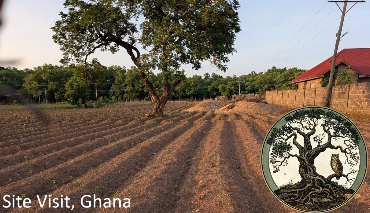 EarthStuff - Geospatial Analysis of Carbon Offset Projects - A Broader Scientific Outlook