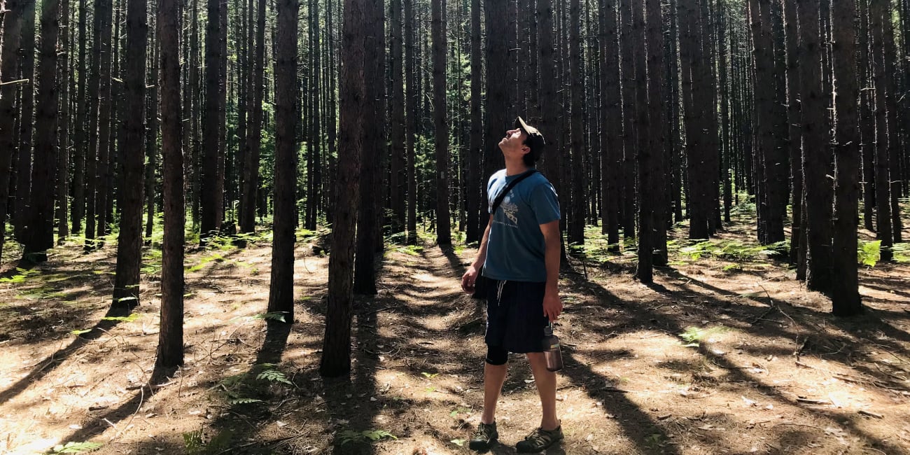 You Don’t Win Democracy Like You Win a Campaign. You Sustain It Like You Cultivate a Forest.
