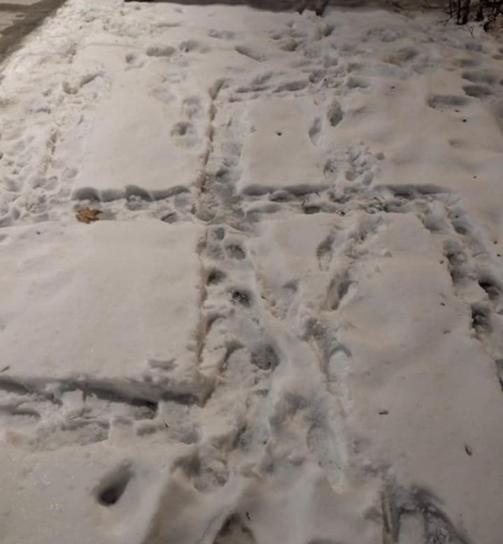 A snow covered ground with footprints

AI-generated content may be incorrect.