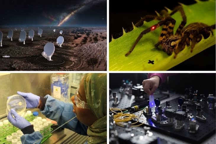 The Royal Society Summer Science Exhibition