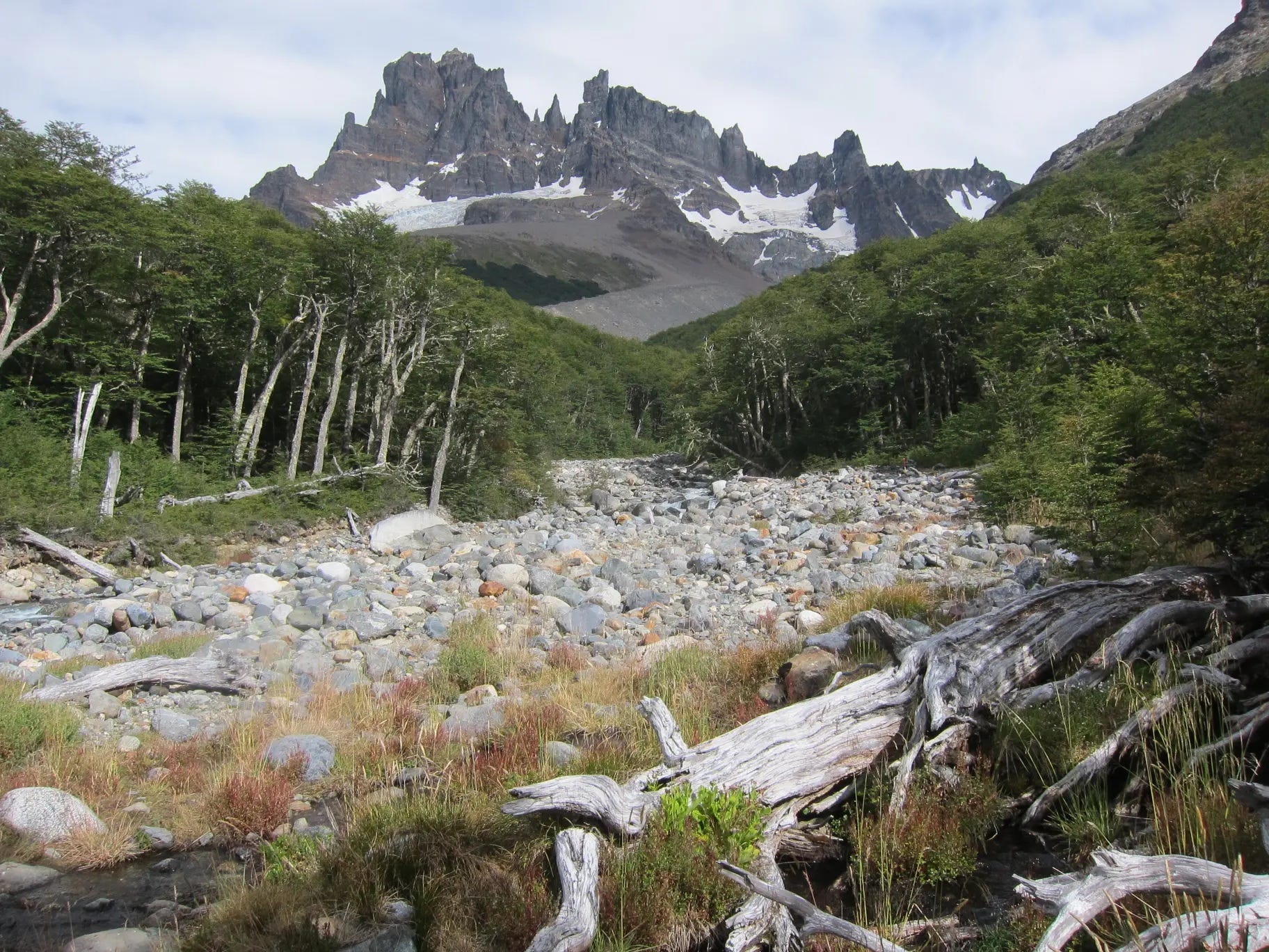 EarthStuff - Mapping Multifunctionality In Remote Patagonian Forest Landscapes Reveals High-Value Ecosystems Beyond Protected Areas