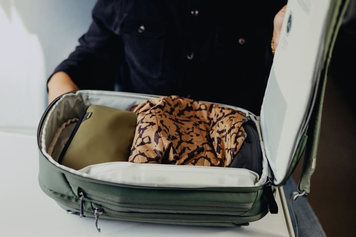 Peak Design Travel Backpack 20L