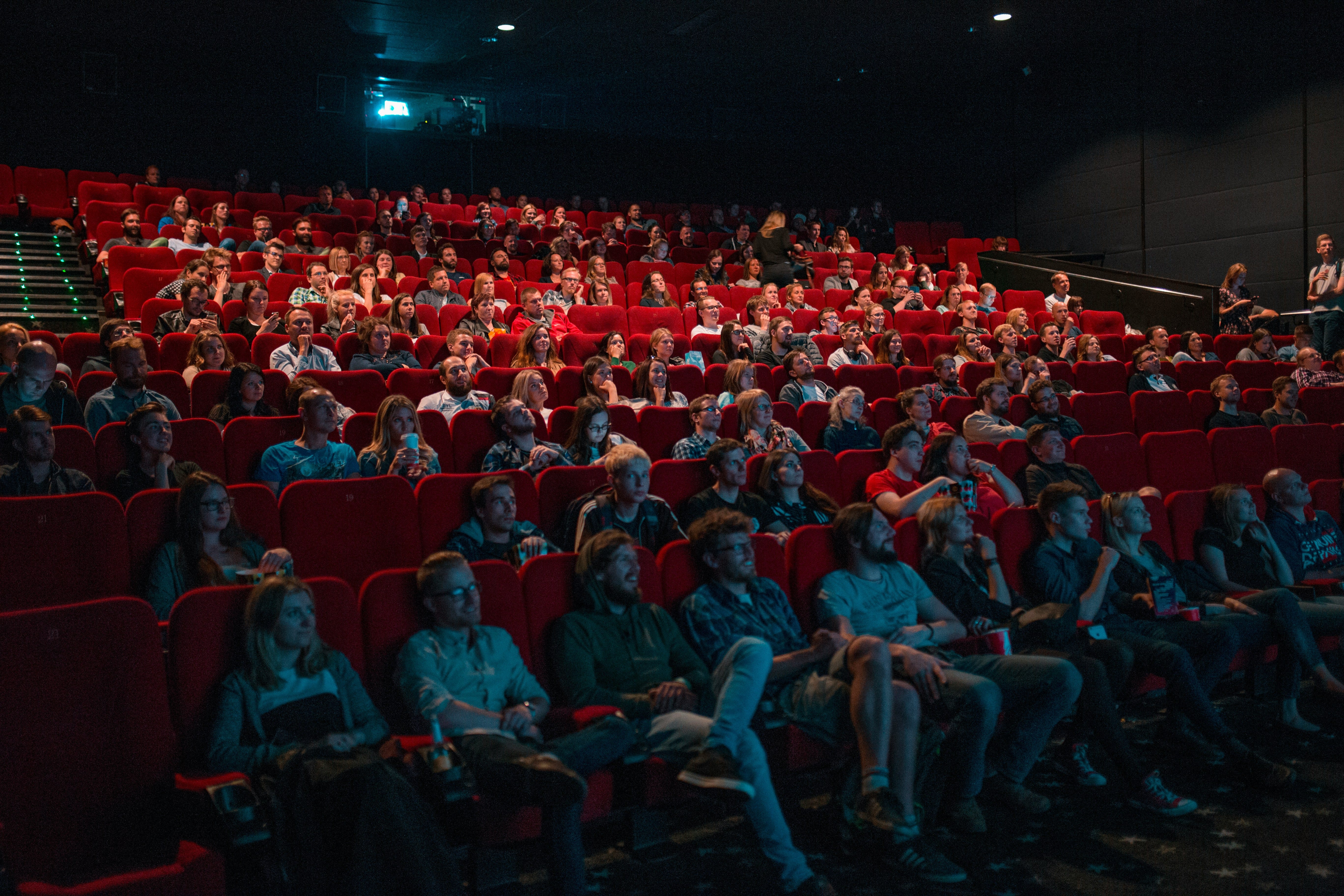 Audience attending a film festival screening