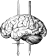 Lethal Minds