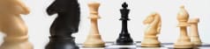 The Chess Circuit