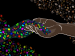 The Proud Holobionts