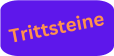 Sales Trittsteine