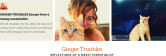 GINGER TROUBLES Reflections of a messy essentialist