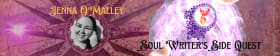 Soul Writer's Side Quest
