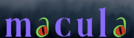 Macula