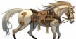 Peak Horse