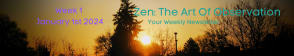 Zen: The Art Of Observation